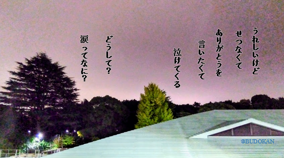 嬉しくても涙が出るのはなぜ？～涙の役割～ | 高瀬 和枝 公式サイト（くれたけ心理相談室 高崎支部）